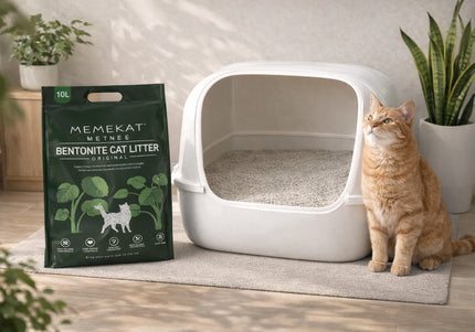 Collection image for: Cat & Small Pet