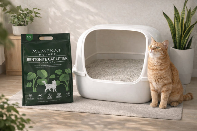 Cat & Small Pet