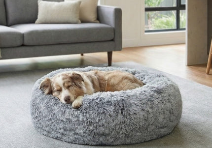 Collection image for: Pet Beds & Homes