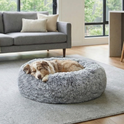 Collection image for: Pet Beds & Homes