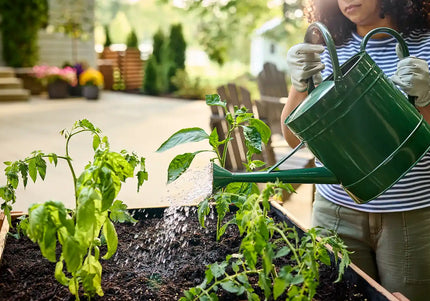 Collection image for: Garden & DIY