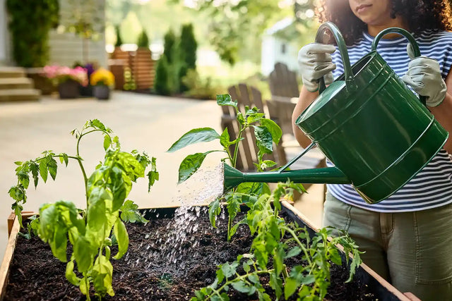 Garden & DIY