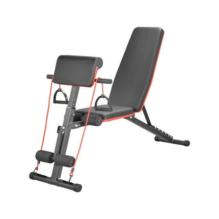 Multi-Position Adjustable Weight Bench