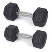 Pair 12.5kg / 27.5lbs