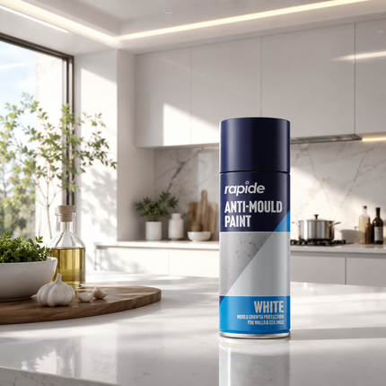 Anti Mould Spray Paint 400ML One Coat White Finish