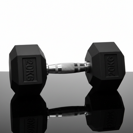 Rubber Hex Dumbbell 20kg Ergo Hand Weight Gym Strength Training Home Workout