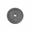 1.25kg plate