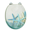 Star Fish & Ocean