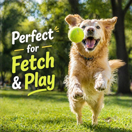 12X TENNIS BALLS Outdoor SPORTS Fun Dog Fetch TOY Play CRICKET Training Beach