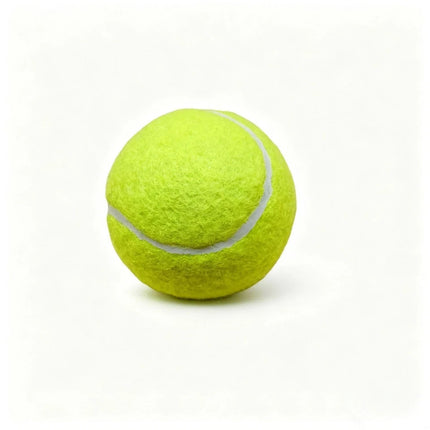 12X TENNIS BALLS Outdoor SPORTS Fun Dog Fetch TOY Play CRICKET Training Beach