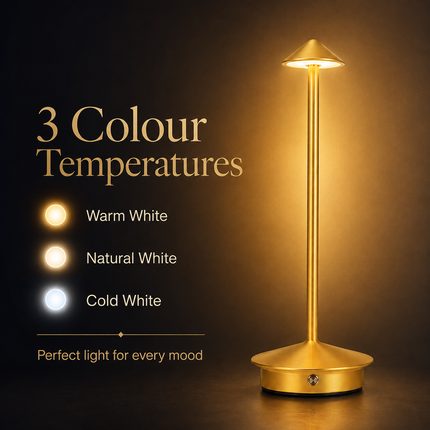 Cordless LED Table Lamp USB-C Rechargeable Dimmable Metal Light 3 Colour Modes