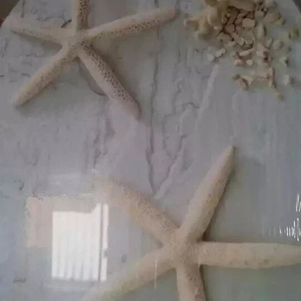 18" Universal Toilet Seat Starfish Pebbles Novelty Bathroom WC Seat With Fitting