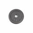 0.5kg plate