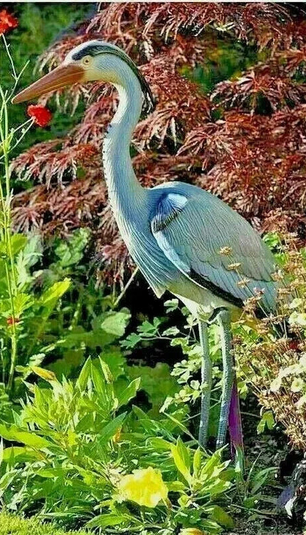 Hawk Owl Heron Decoy Bird Pest Control Cat Repeller Pond Garden Scare Ornament