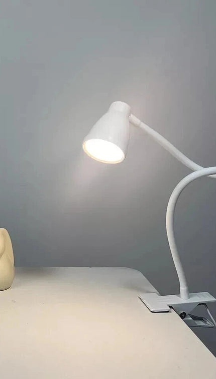 LED Desk Lamp Clip-On 3W Flexible Reading Light Eye Care 10-Level Brightness