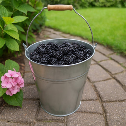 TRADITIONAL GALVANISED STRONG STEEL METAL BUCKET WITH WOODEN HANDLE 9L To 18L