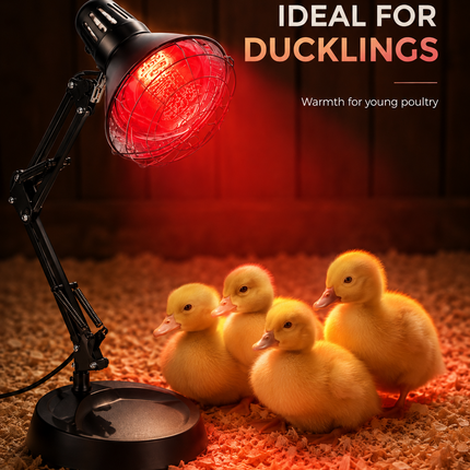 150W Infrared Heat Lamp Chick Brooder Light Poultry Chicken Duckling Heater