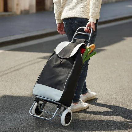 35L Folding Shopping Trolley – 2 Wheels
