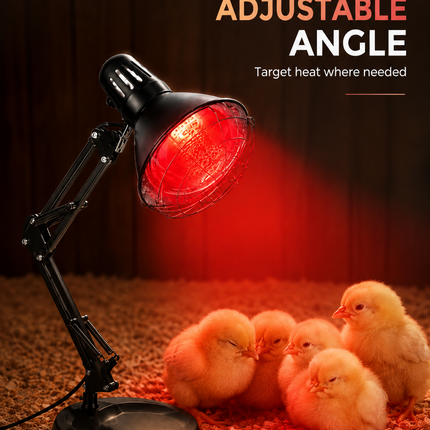 150W Infrared Heat Lamp Chick Brooder Light Poultry Chicken Duckling Heater