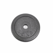 2.5kg plate
