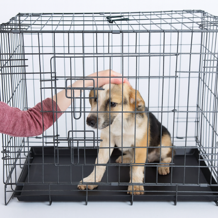Pet Cage With Tray 48 Inch Heavy Duty Metal Cat Dog Crate Kennel