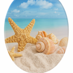Beach and Seashell
