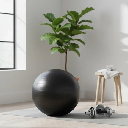 Yoga Ball With Pump Anti Burst For Pregnancy Pilates Core Pilates Physiotherapy
