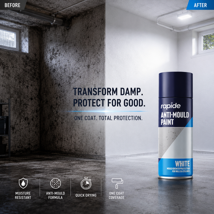 Anti Mould Spray Paint 400ML One Coat White Finish
