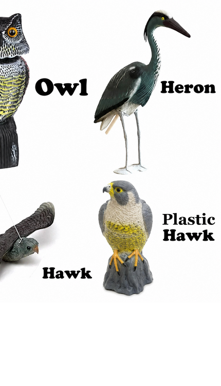 Hawk Owl Heron Decoy Bird Pest Control Cat Repeller Pond Garden Scare Ornament
