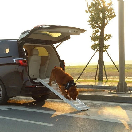 Portable Dog Ramp Folding Non-Slip Pet Ramp Stairs Step Ladder for Car - WHITE