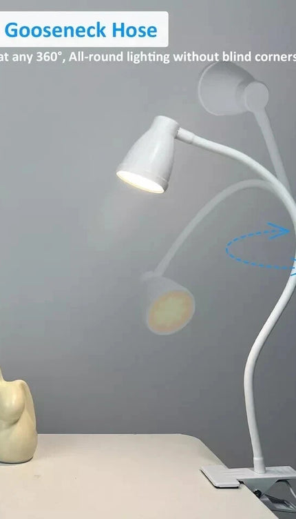 LED Desk Lamp Clip On Reading Light 3W Eye-Care Flexible 10 Brightness Levels
