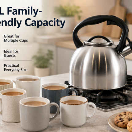 2.8L Whistling Kettle Stove Top Kitchen Stainless Steel Tea Coffee Water Boiler