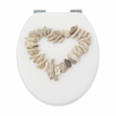 Beach & heart Shells
