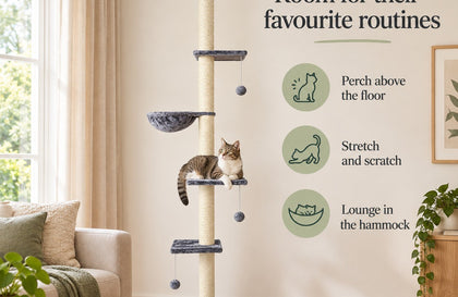 Pet Beds & Cushions