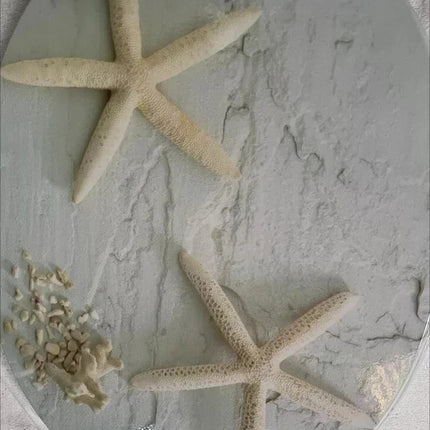 18" Universal Toilet Seat Starfish Pebbles Novelty Bathroom WC Seat With Fitting