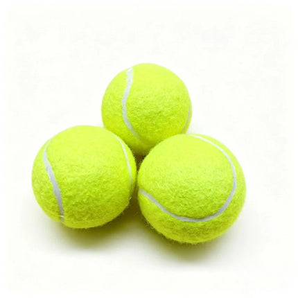12X TENNIS BALLS Outdoor SPORTS Fun Dog Fetch TOY Play CRICKET Training Beach