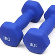 Blue / 1Kg Pair
