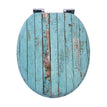 turquoise wooden plank