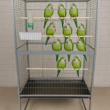 Steel Standing Cage for Cockatiels, Parrots & Pigeons Large Flight Bird Kin