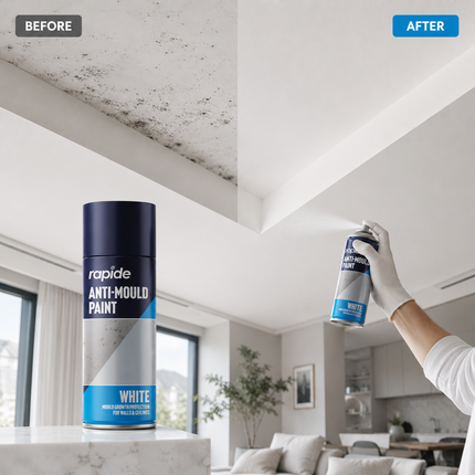 Anti Mould Spray Paint 400ML One Coat White Finish