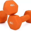 Blue / 4Kg Pair