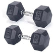 Pair 15kg / 33lbs