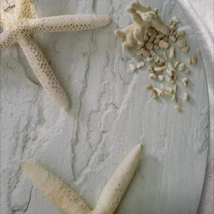 18" Universal Toilet Seat Starfish Pebbles Novelty Bathroom WC Seat With Fitting