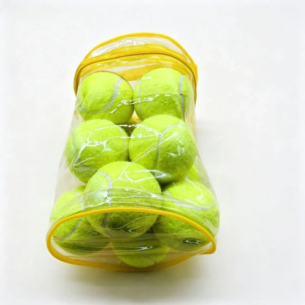 12X TENNIS BALLS Outdoor SPORTS Fun Dog Fetch TOY Play CRICKET Training Beach