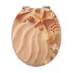 Starfish & Shell On The Beach Novelty