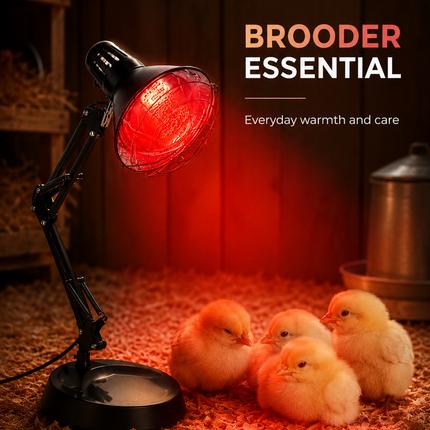 150W Infrared Heat Lamp Chick Brooder Light Poultry Chicken Duckling Heater