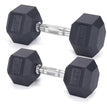 Pair 2.5kg / 5.5lbs