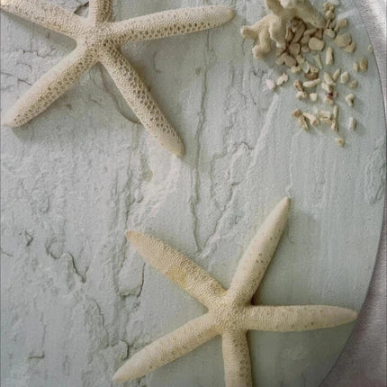 18" Universal Toilet Seat Starfish Pebbles Novelty Bathroom WC Seat With Fitting