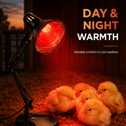 150W Infrared Heat Lamp Chick Brooder Light Poultry Chicken Duckling Heater