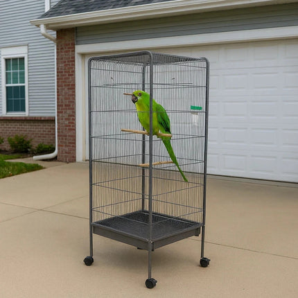 Steel Standing Cage for Cockatiels, Parrots & Pigeons Large Flight Bird Kin